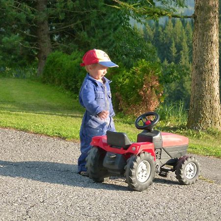 Ferienwohnungen Bachergut マリアプファル 部屋 写真